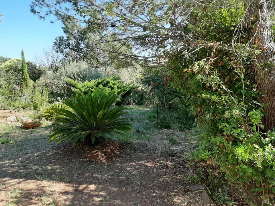 Mas Provençal au Cannet des Maures Le Cannet-des-Maures Extérieur photo